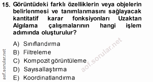 15. soru: Görüntüdeki farklı özelliklerin veya objelerin belirlenmesi ve tanımlanmasını sağlayacak kantitatif karar fonksiyonla…
