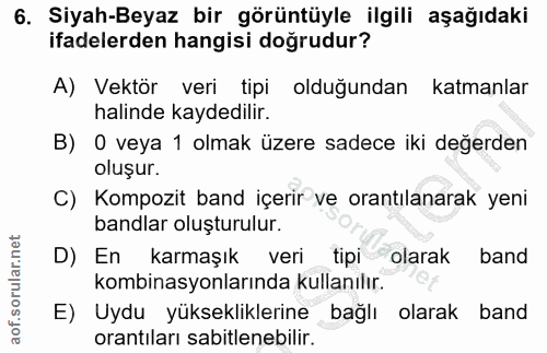 6. soru: Siyah-Beyaz bir görüntüyle ilgili aşağıdaki ifadelerden hangisi doğrudur? A) Vektör veri tipi olduğundan katmanlar ha…