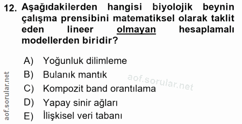 12. soru: Aşağıdakilerden hangisi biyolojik beynin çalışma prensibini matematiksel olarak taklit eden lineer olmayan hesaplamal…