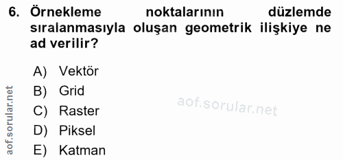6. soru: Örnekleme noktalarının düzlemde sıralanmasıyla oluşan geometrik ilişkiye ne ad verilir? A) Vektör ar.net B) Grid C) R…