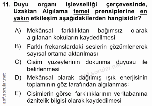 11. soru: Duyu organı işlevselliği çerçevesinde, Uzaktan Algılama temel prensiplerine en yakın etkileşim aşağıdakilerden hangis…