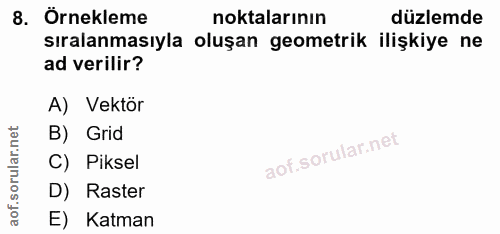 8. soru: Örnekleme noktalarının düzlemde sıralanmasıyla oluşan geometrik ilişkiye ne ad verilir? A) Vektör B) Grid lar. C) Pik…
