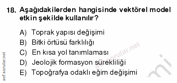 18. soru: Aşağıdakilerden hangisinde vektörel model etkin şekilde kullanılır? A) Toprak yapısı değişimi B) Bitki örtüsü farklıl…