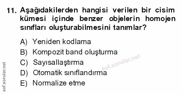 11. soru: Aşağıdakilerden hangisi verilen bir cisim kümesi içinde benzer objelerin homojen sınıfları oluşturabilmesini tanımlar…