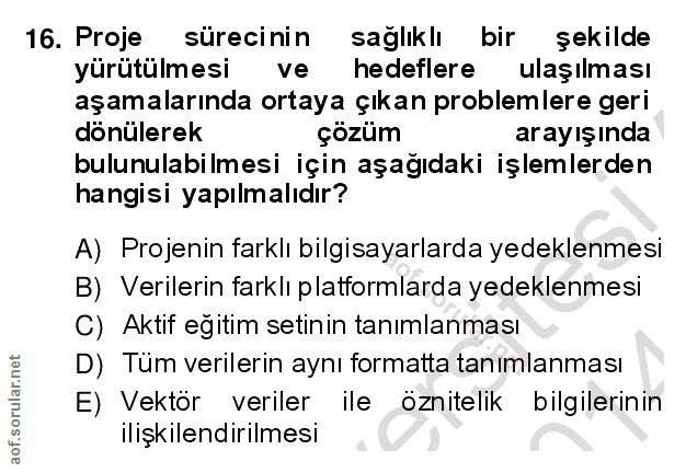 16. soru: Proje sürecinin sağlıklı bir şekilde yürütülmesi ve hedeflere ulaşılması aşamalarında ortaya çıkan problemlere geri d…