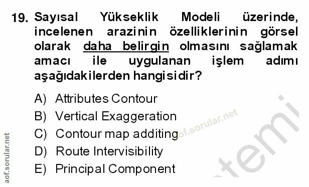 19. soru: Sayısal Yükseklik Modeli üzerinde, incelenen arazinin özelliklerinin görsel olarak daha belirgin olmasını sağlamak am…