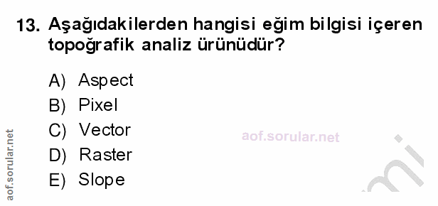 13. soru: Aşağıdakilerden hangisi eğim bilgisi içeren topoğrafik analiz ürünüdür? A) Aspect B) Pixel C) Vector D) Raster E) Slope