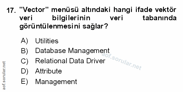 17. soru: "'Vector" menüsü altındaki hangi ifade vektör veri bilgilerinin veri tabanında görüntülenmesini sağlar? A) Utilities…
