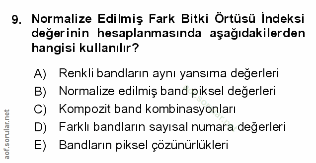 9. soru: Normalize Edilmiş Fark Bitki Örtüsü İndeksi değerinin hesaplanmasında aşağıdakilerden hangisi kullanılır? A) Renkli b…