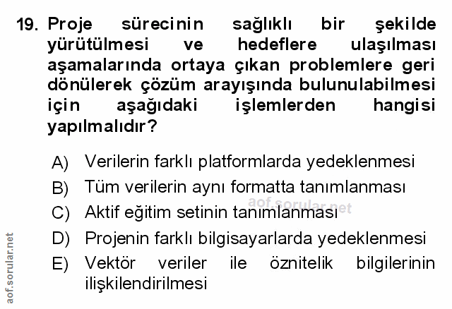 19. soru: Proje sürecinin sağlıklı bir şekilde yürütülmesi ve hedeflere ulaşılması aşamalarında ortaya çıkan problemlere geri d…