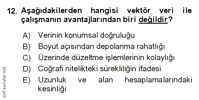 12. soru: Aşağıdakilerden hangisi vektör veri ile çalışmanın avantajlarından biri değildir? A) Verinin konumsal doğruluğu B) Bo…
