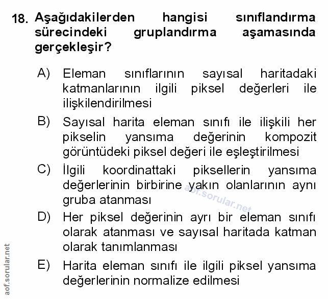 18. soru: Aşağıdakilerden hangisi sınıflandırma sürecindeki gruplandırma aşamasında gerçekleşir? A) Eleman sınıflarının sayısal…