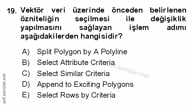 19. soru: Vektör veri üzerinde önceden belirlenen özniteliğin seçilmesi ile değişiklik yapılmasını saglayan işlem adımı aşağıda…