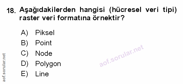 18. soru: Aşağıdakilerden hangisi (hücresel veri tipi) raster veri formatına örnektir? A) Piksel B) Point C) Node D) Polygon E)…