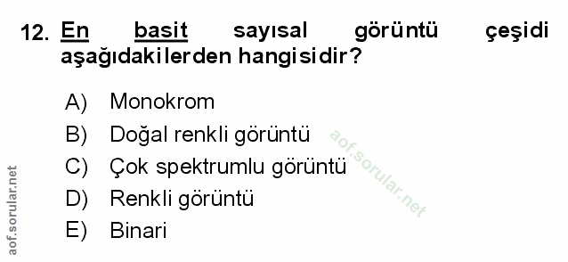 12. soru: En basit sayısal görüntü çeşidi aşağıdakilerden hangisidir? A) Monokrom B) Doğal renkli görüntü C) Çok spektrumlu gör…