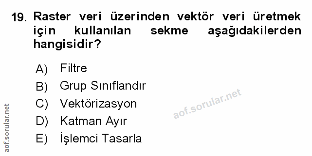19. soru: Raster veri üzerinden vektör veri üretmek için kullanılan sekme aşağıdakilerden hangisidir? A) Filtre B) Grup Sınıfla…