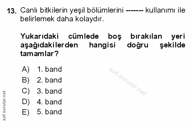 13. soru: Canlı bitkilerin yeşil bölümlerini --- kullanımı ile belirlemek daha kolaydır. Yukarıdaki cümlede boş bırakılan yeri…