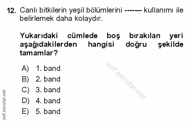 12. soru: Canlı bitkilerin yeşil bölümlerini ---- kullanımı ile belirlemek daha kolaydır. Yukarıdaki cümlede boş bırakılan yeri…