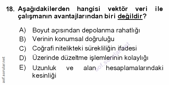 18. soru: Aşağıdakilerden hangisi vektör veri ile çalışmanın avantajlarından biri değildir? A) Boyut açısından depolanma rahatl…