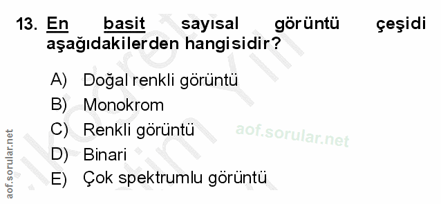 13. soru: En basit sayısal görüntü çeşidi aşağıdakilerden hangisidir? A) Doğal renkli görüntü B) Monokrom C) Renkli görüntü D)…