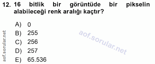 12. soru: 16 bitlik bir görüntüde bir pikselin alabileceği renk aralığı kaçtır? A) B) 255 C) 256 D) 257 E) 65.536