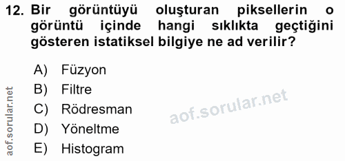 12. soru: Bir görüntüyü oluşturan piksellerin görüntü içinde hangi sıklıkta geçtiğini gösteren istatiksel bilgiye ne ad verilir…