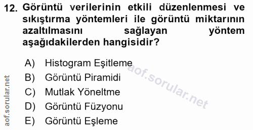 12. soru: Görüntü verilerinin etkili düzenlenmesi ve sıkıştırma yöntemleri ile görüntü miktarının azaltılmasını sağlayan yöntem…