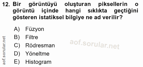 12. soru: Bir görüntüyü oluşturan piksellerin görüntü içinde hangi sıklıkta geçtiğini gösteren istatiksel bilgiye ne ad verilir…