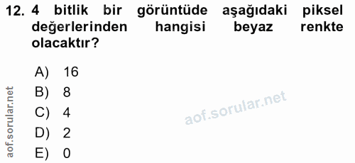 12. soru: 4 bitlik bir görüntüde aşağıdaki piksel değerlerinden hangisi beyaz renkte olacaktır? A) 16 B) 8 C) 4 D) 2 E) O