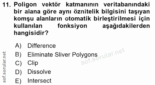 11. soru: Poligon vektör katmanının veritabanındaki bir alana göre aynı öznitelik bilgisini taşıyan komşu alanların otomatik bi…