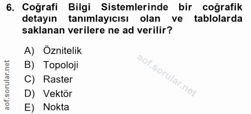 6. soru: Coğrafi Bilgi Sistemlerinde bir coğrafik detayın tanımlayıcısı olan ve tablolarda saklanan verilere ne ad verilir? A)…
