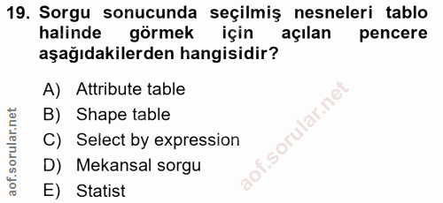 19. soru: Sorgu sonucunda seçilmiş nesneleri tablo halinde görmek için açılan pencere aşağıdakilerden hangisidir? A) Attribute…