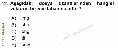 12. soru: Aşağıdaki dosya uzantılarından hangisi vektörel bir veritabanına aittir? A) .img B) .shp C) .png D) tif E) .sdw