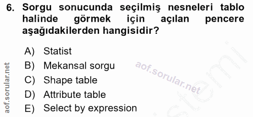 6. soru: Sorgu sonucunda seçilmiş nesneleri tablo halinde görmek için açılan pencere aşağıdakilerden hangisidir? A) Statist B)…
