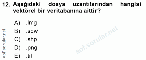 12. soru: Aşağıdaki dosya uzantılarından hangisi vektörel bir veritabanına aittir? A) .img B) .sdw C) .shp D) png E) .tif