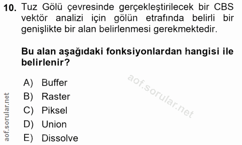 10. soru: Tuz Gölü çevresinde gerçekleştirilecek bir CBS vektör analizi için gölün etrafinda belirli bir genişlikte bir alan be…