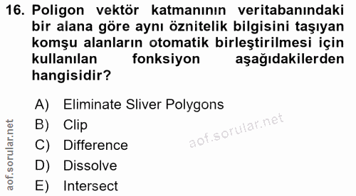 16. soru: Poligon vektör katmanının veritabanındaki bir alana göre aynı öznitelik bilgisini taşıyan komşu alanların otomatik bi…