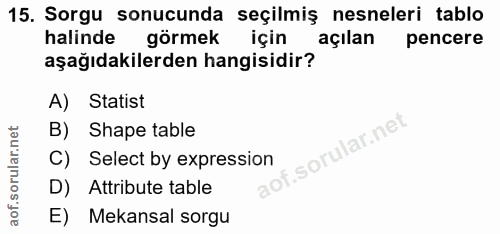 15. soru: Sorgu sonucunda seçilmiş nesneleri tablo halinde görmek için açılan pencere aşağıdakilerden hangisidir? A) Statist B)…