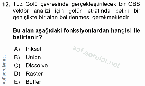 12. soru: Tuz Gölü çevresinde gerçekleştirilecek bir CBS vektör analizi için gölün etrafinda belirli bir genişlikte bir alan be…
