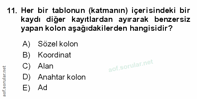 11. soru: Her bir tablonun (katmanın) içerisindeki bir kaydı diğer kayıtlardan ayırarak benzersiz yapan kolon aşağıdakilerden h…