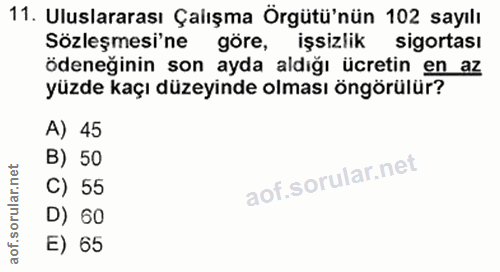 11. soru: Uluslararası Çalışma Örgütü'nün 102 sayılı Sözleşmesi'ne göre, işsizlik sigortası ödeneginin son ayda aldığı ücretin…