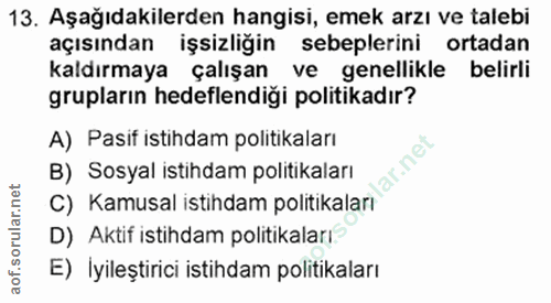 13. soru: Aşağıdakilerden hangisi, emek arzı ve talebi açısından işsizliğin sebeplerini ortadan kaldırmaya çalışan ve genellikl…
