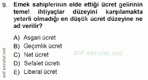 9. soru: Emek sahiplerinin elde ettiği ücret gelirinin temel ihtiyaçlar düzeyini karşılamakta yeterli olmadığı en düşük ücret…