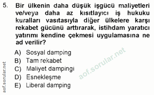 5. soru: Bir ülkenin daha düşük işgücü maliyetleri ve/veya daha az kısıtlayıcı iş hukuku kuralları vasıtasıyla diğer ülkelere…