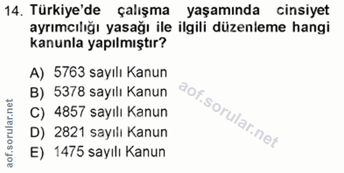 14. soru: Türkiye'de çalışma yaşamında cinsiyet ayrımcılığı yasağı ile ilgili düzenleme hangi kanunla yapılmıştır? A) 5763 sayı…