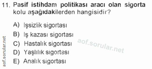 11. soru: Pasif istihdam politikası aracı olan sigorta kolu aşağıdakilerden hangisidir? A) Işsizlik sigortası B) Iş kazası sigo…