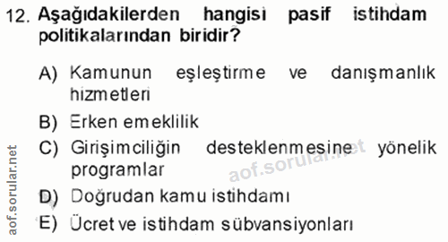 12. soru: Aşağıdakilerden hangisi pasif istihdam politikalarından biridir? A) Kamunun eşleştirme ve danışmanlık hizmetleri B) E…