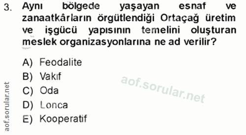 3. soru: Aynı bölgede yaşayan esnaf ve zanaatkârların örgütlendiği Ortaçağ üretim ve işgücü yapısının temelini oluşturan mesle…