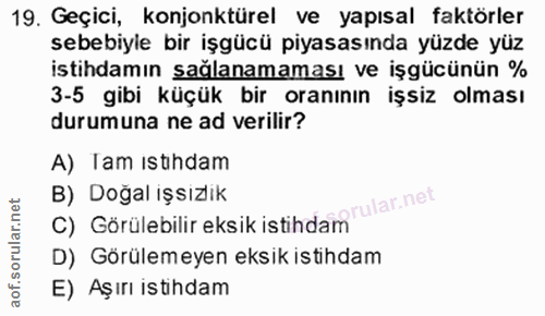 19. soru: Geçici, konjonktürel ve yapısal faktörler sebebiyle bir işgücü piyasasında yüzde yüz istihdamın sağlanamaması ve işgü…