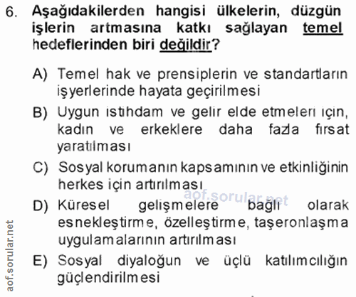 6. soru: Aşağıdakilerden hangisi ülkelerin, düzgün işlerin artmasına katkı sağlayan temel hedeflerinden biri değildir? A) Teme…